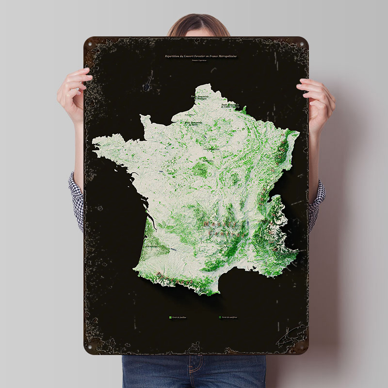 Home Decor Ai - Massifs Forestiers Fran? ?ais cartaz personalizado