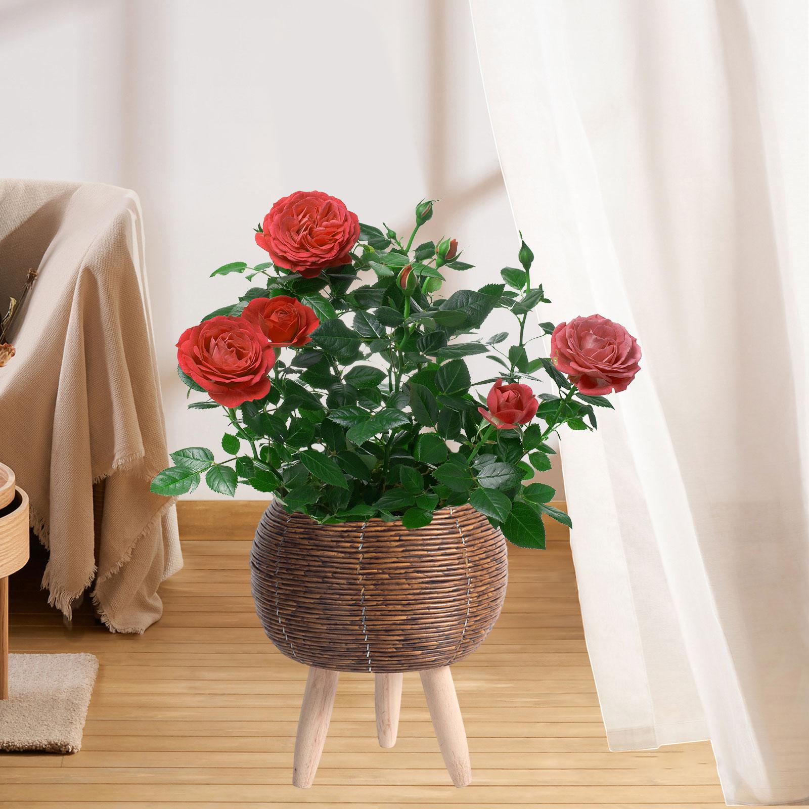 Cesto de Vime com Suporte para - Home Decor Rattan avaliação e preço