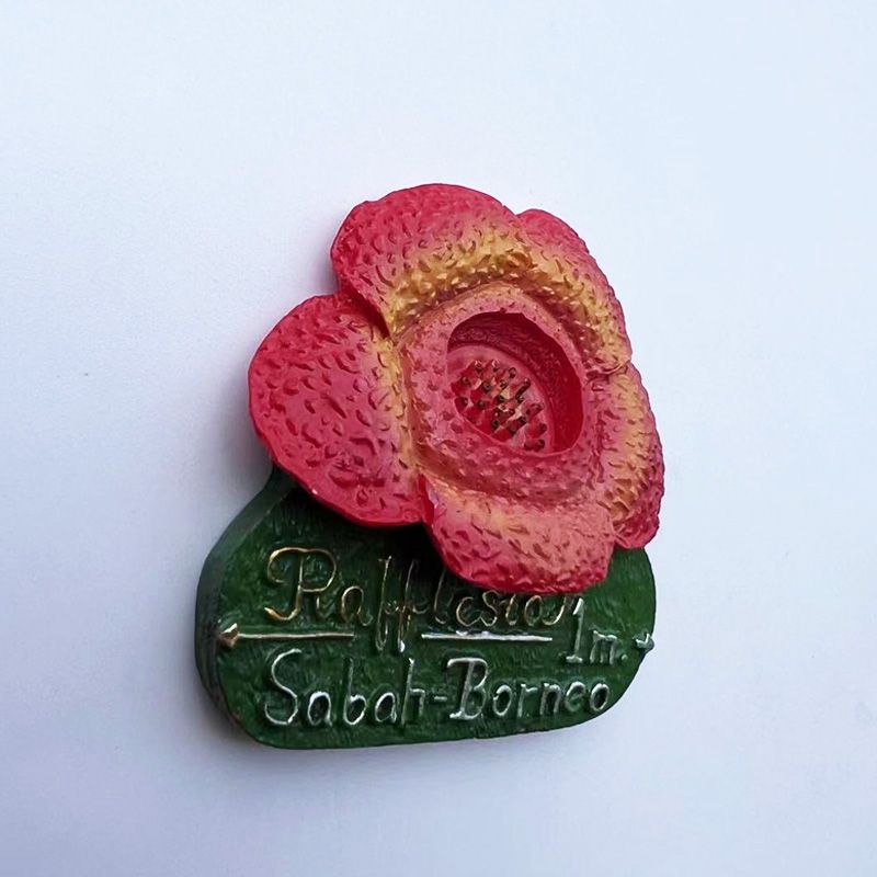 Malásia Sabah Borneo Rafflesia - Home Decor Malaysia avaliação e preço