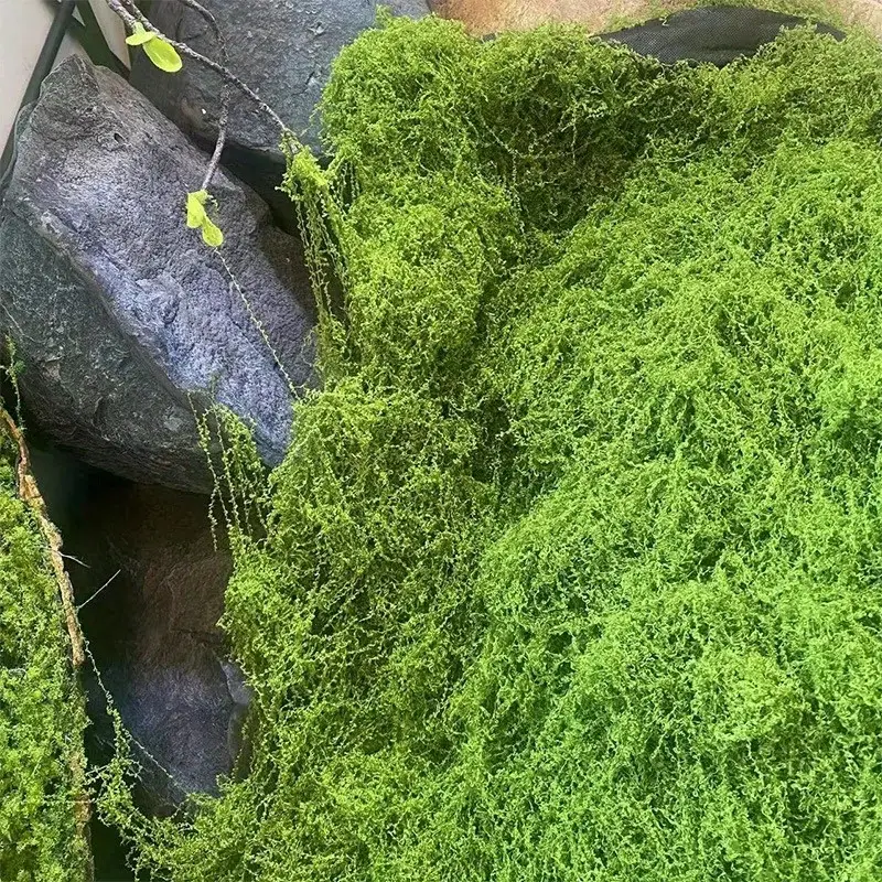 Verde falso musgo diy artesana - Home Decor Rattan avaliação e preço