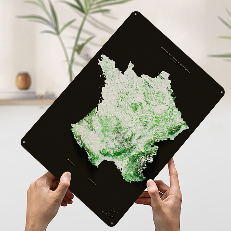 Massifs Forestiers Fran? ?ais  - Home Decor Ai avaliação e preço